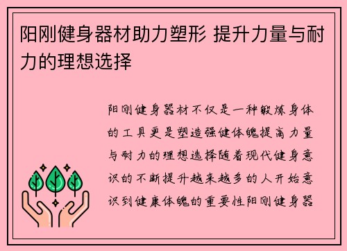 阳刚健身器材助力塑形 提升力量与耐力的理想选择