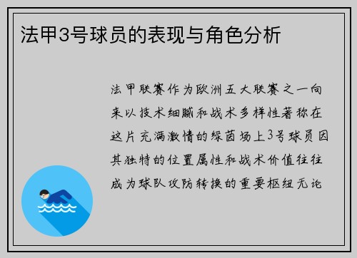 法甲3号球员的表现与角色分析